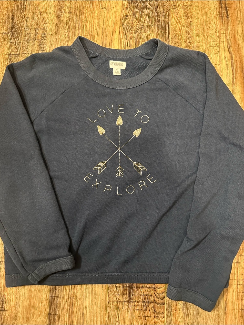 Gymboree Girls Navy 'Love to Explore' Crewneck Sweatshirt